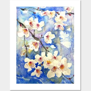 Spring flowers Posters and Art